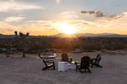3DJ · Anita - 3D Joshua Tree