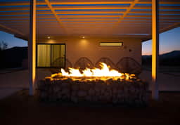 ZBR · Quail Springs - Zebra Shadow: