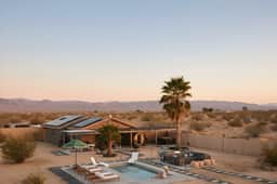 DWW - Desert Willow