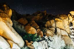 REM - Puente - Desert Remedy