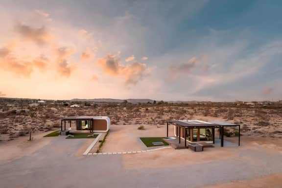 3DJ · Anita - 3D Joshua Tree